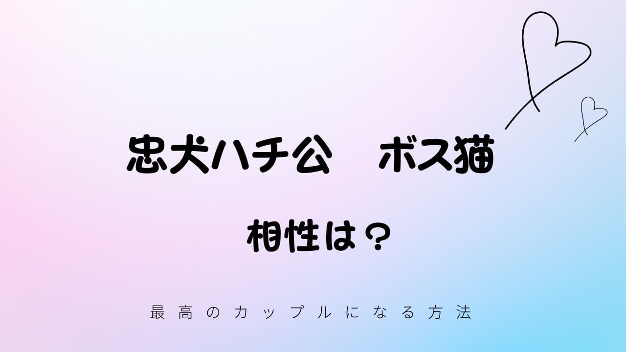 忠犬ハチ公とボス猫の相性は？