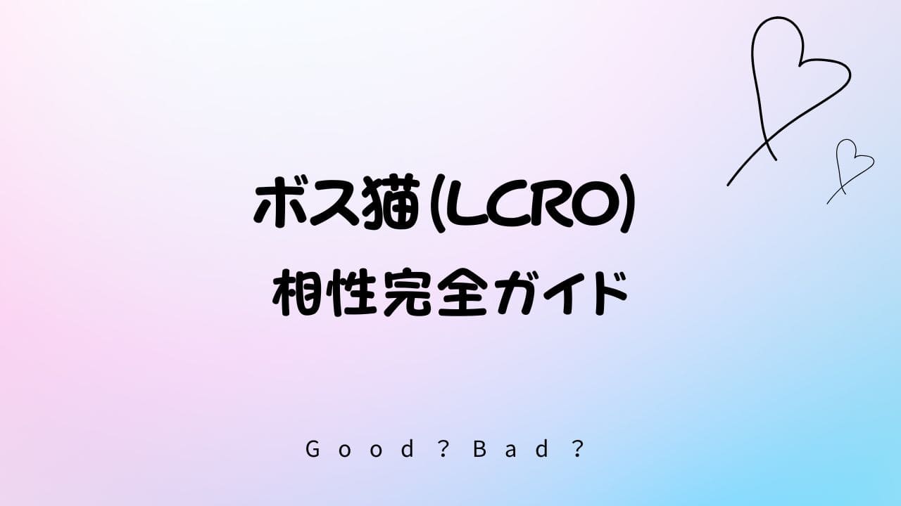 ラブタイプ診断のボス猫の相性は？